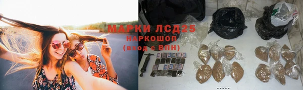 прущие крисы Новодвинск