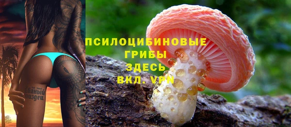 стафф Нефтекумск