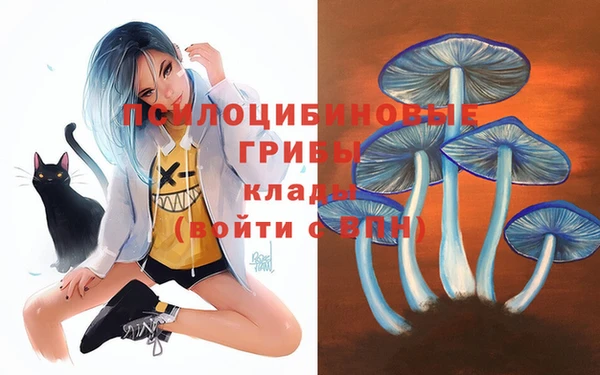 стафф Нефтекумск