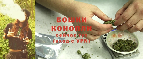 стафф Нефтекумск