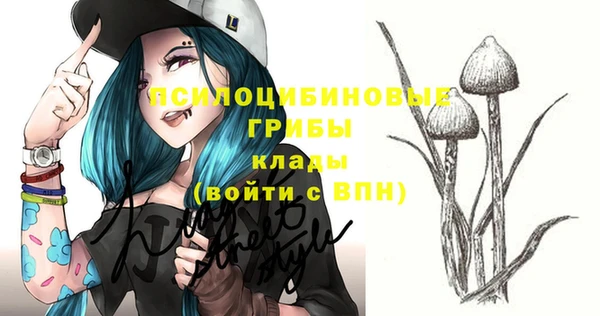 МДПВ Новозыбков